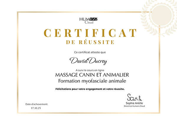 Certificat du cours Massage canin Humans Cloud – formation myofasciale animale