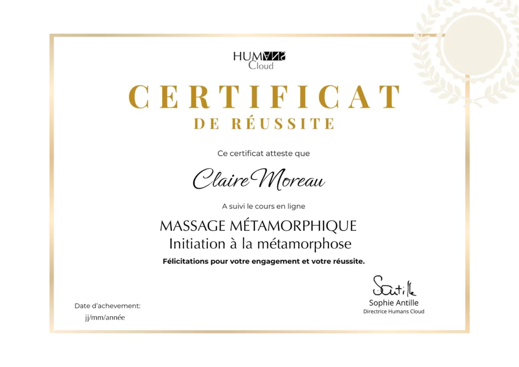 formation online, initiation métamorphique