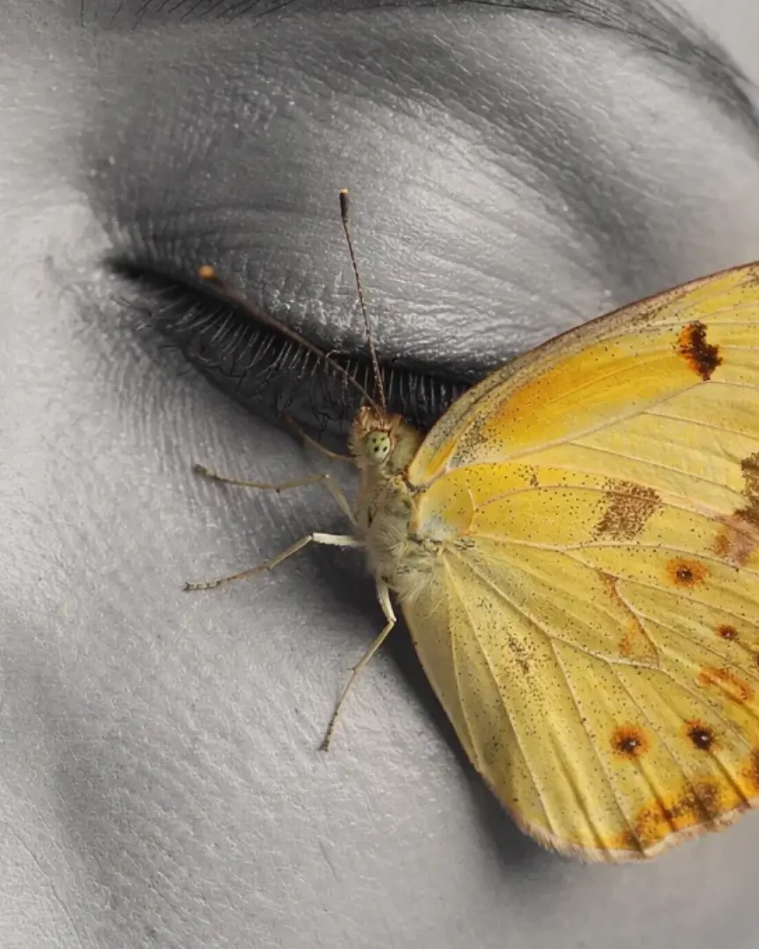 Visage apaisé avec un papillon jaune posé délicatement, illustrant la transformation et la douceur du massage métamorphique.