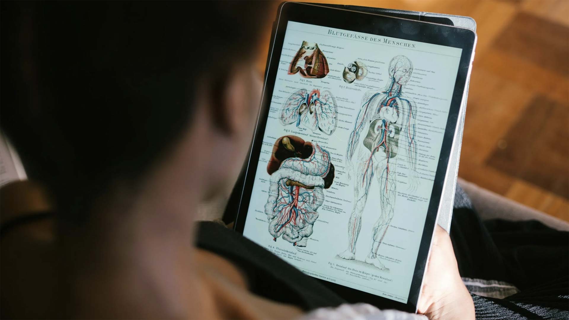 Cours d’anatomie, physiologie et pathologie en PDF – 667 pages illustrées à télécharger