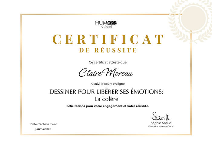 Certificat de réussite pour le cours dessiner pour libérer ses émotions par Sylvie Roduit.